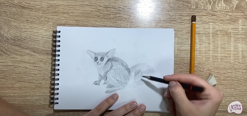 Рисуем Галаго