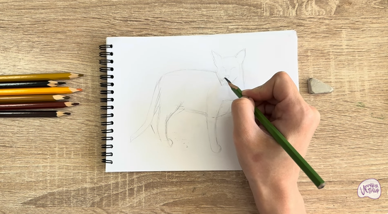 Рисуем Кот породы Оцикет