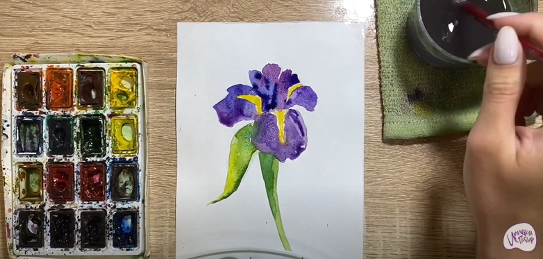 Рисуем Ирис