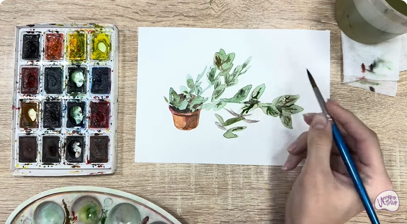 Рисуем Пеллиония в горшке