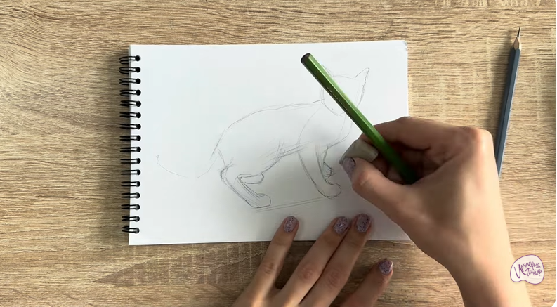 Рисуем Бомбейская кошка