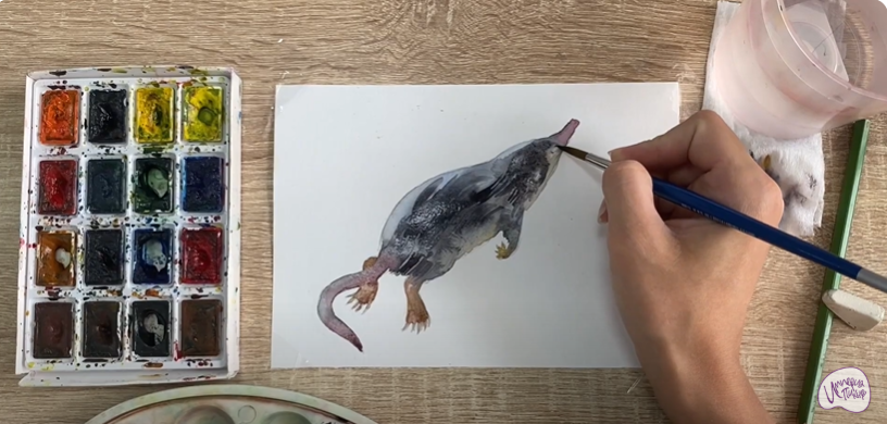 Рисуем Выхухоль