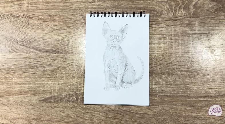 Рисуем Девон Рекс Рисуем Девон Рекс