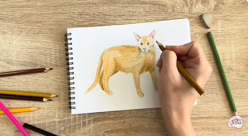 Рисуем Кот породы Оцикет