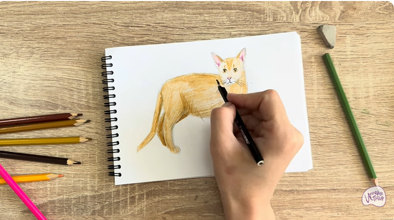 Рисуем Кот породы Оцикет