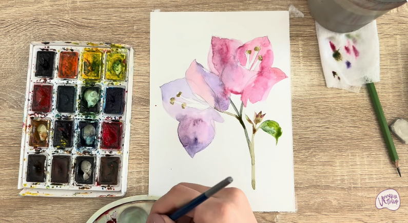 Рисуем Бугенвиллея