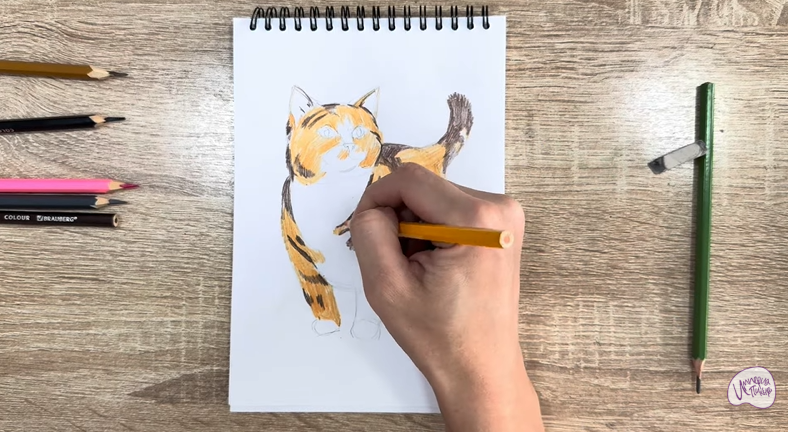 Рисуем Кошка породы "Манчкин"