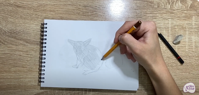 Рисуем Галаго