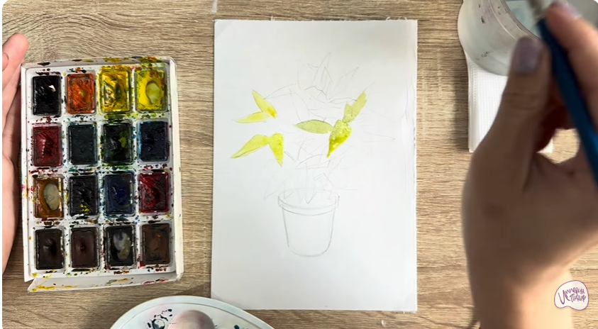 Рисуем Аукуба японская