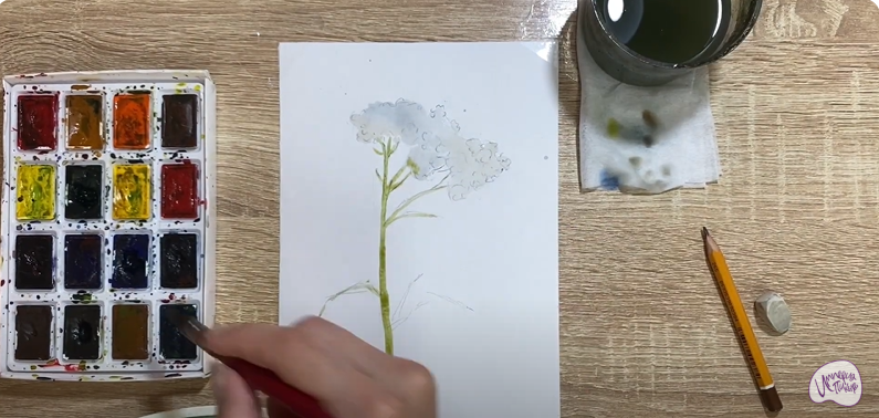 Рисуем Тысячелистник