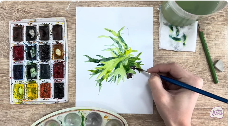 Рисуем Платицериум в горшке