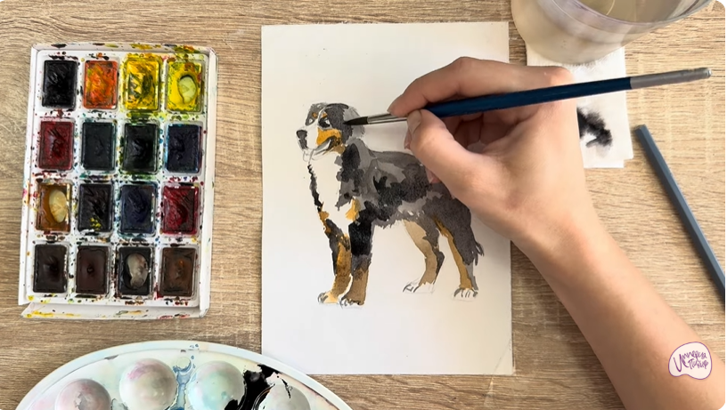 Рисуем Собака породы Бернский зенненхунд