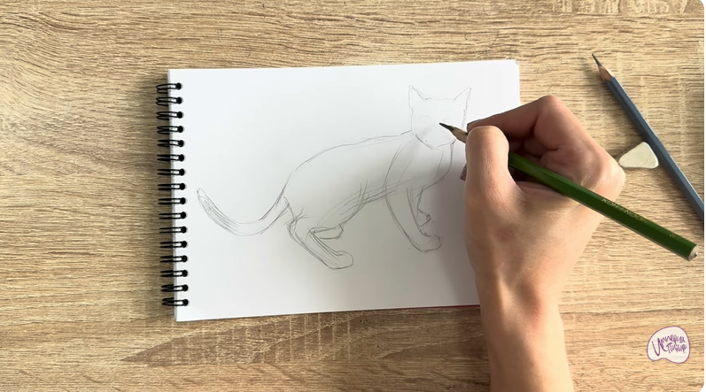 Рисуем Бомбейская кошка