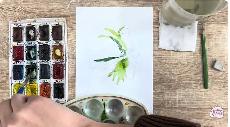 Рисуем Платицериум в горшке