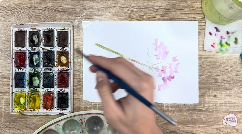 Рисуем Душица