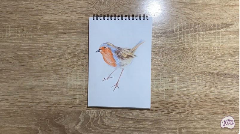 Рисуем Птичка "Зарянка"