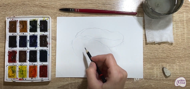 Рисуем Устрица