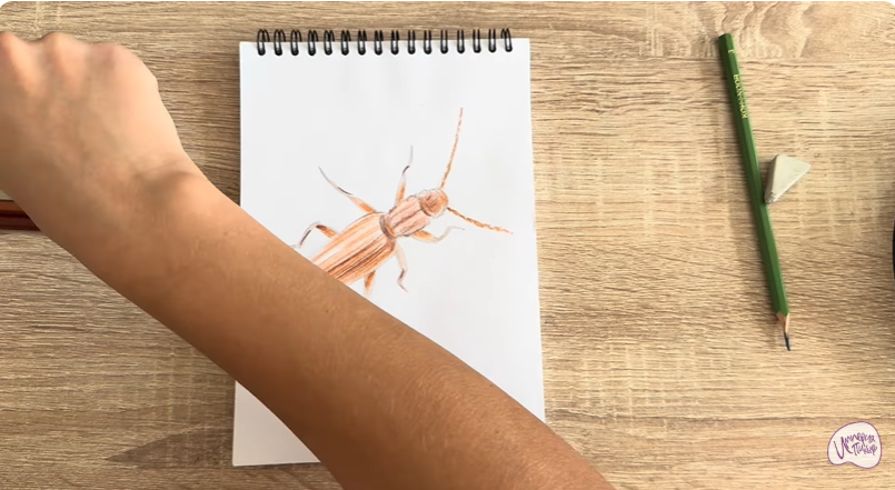 Рисуем Мукоед