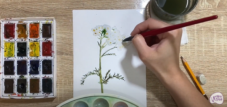 Рисуем Тысячелистник