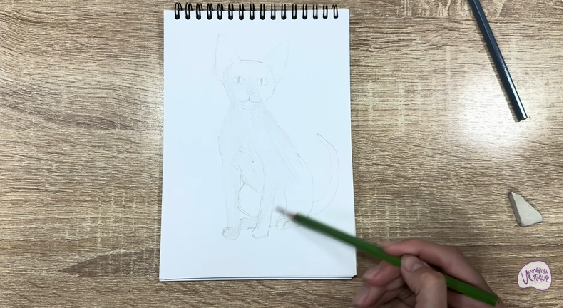 Рисуем Девон Рекс