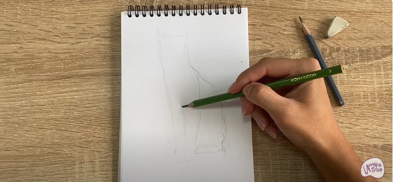 Рисуем Турецкая ангора