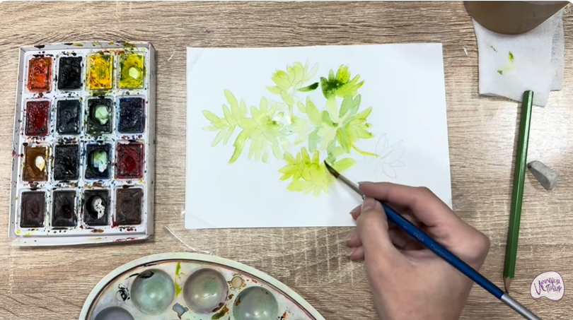 Рисуем Очиток