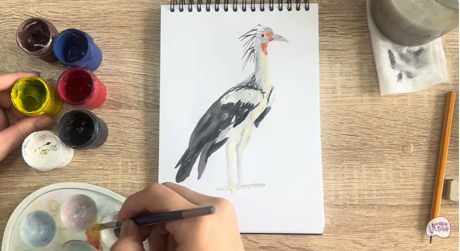 Рисуем Птица "секретарь"