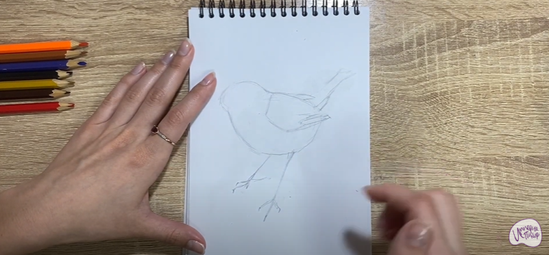 Рисуем Птичка "Зарянка"