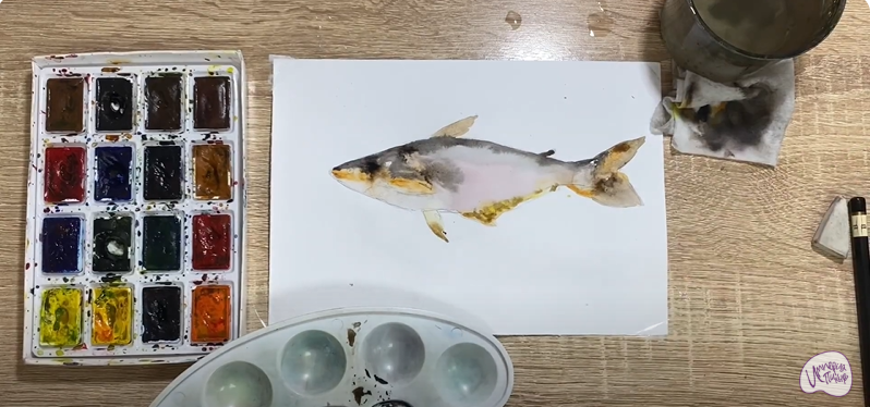 Рисуем Пангасиус