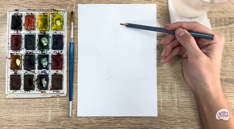 Рисуем Аир болотный