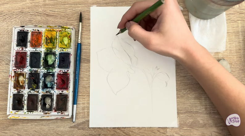 Рисуем Бугенвиллея