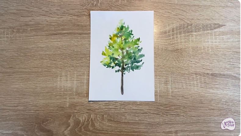 Рисуем Ольха