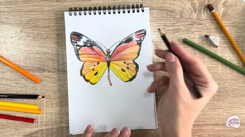 Рисуем Малинница обыкновенная