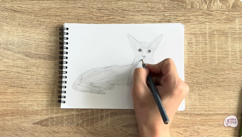 Рисуем Ориентальная кошка