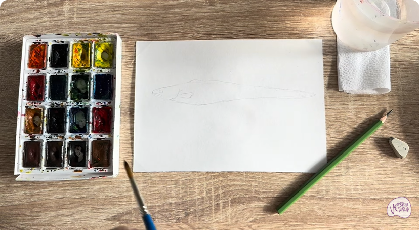 Рисуем Конгрио