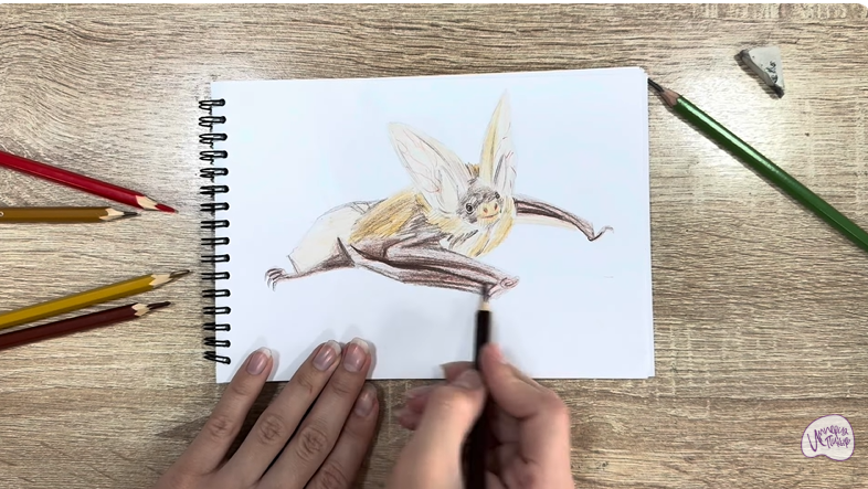 Рисуем Бурый ушан