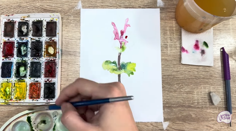 Рисуем Яснотка