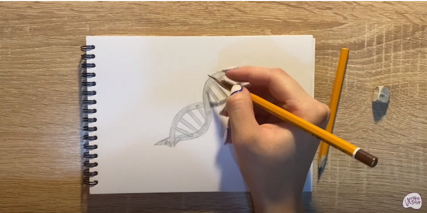 Рисуем ДНК