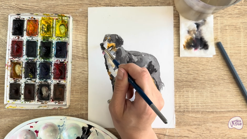 Рисуем Собака породы Бернский зенненхунд