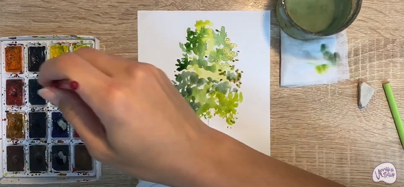 Рисуем Секвойя