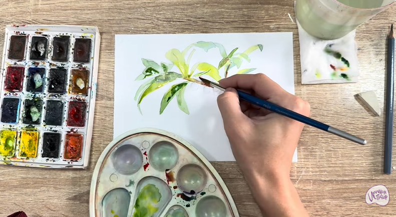 Рисуем Волчья ягода