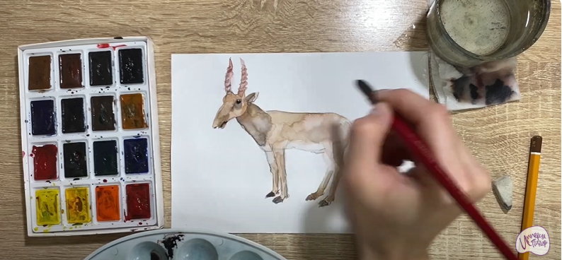Рисуем Сайгак