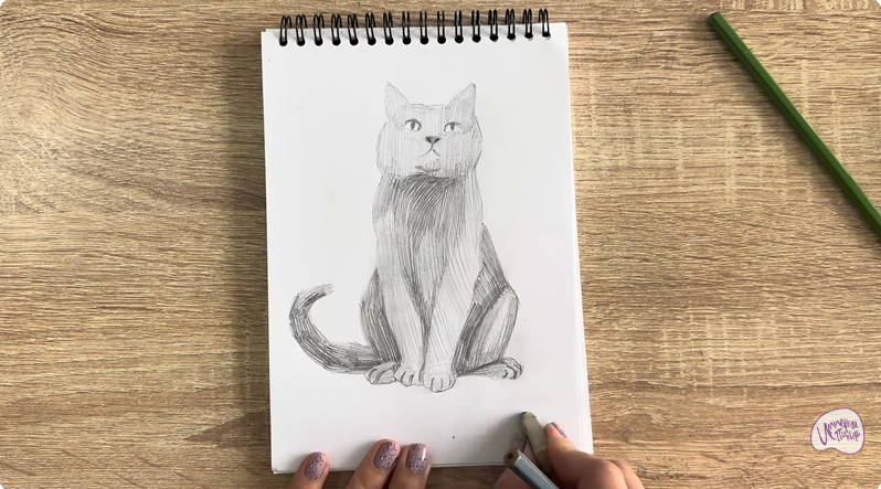 Рисуем Кот породы Шартрез