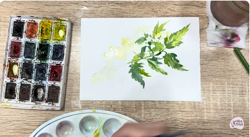 Рисуем Таволга