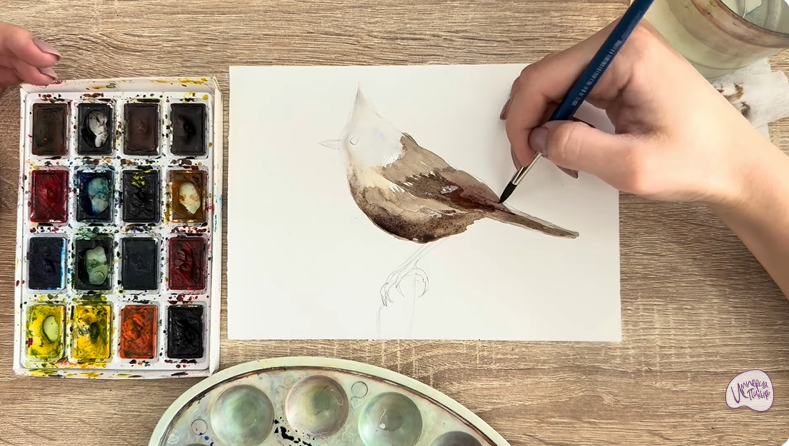 Рисуем Хохлатая синица