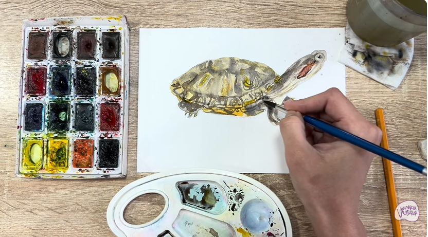 Рисуем Красноухая черепаха