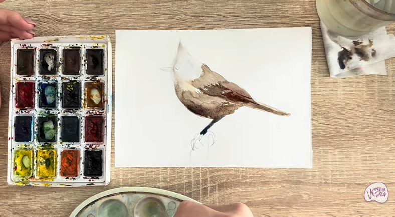 Рисуем Хохлатая синица