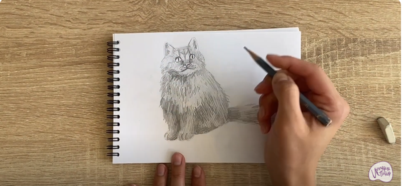 Рисуем Богемский рекс