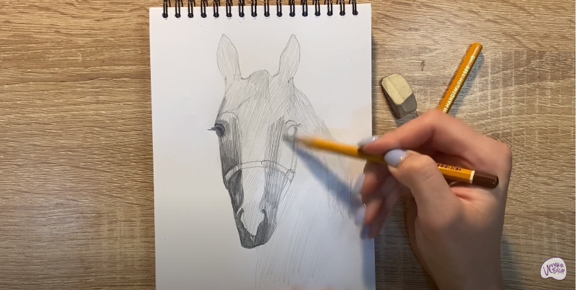 Рисуем Голова лошади