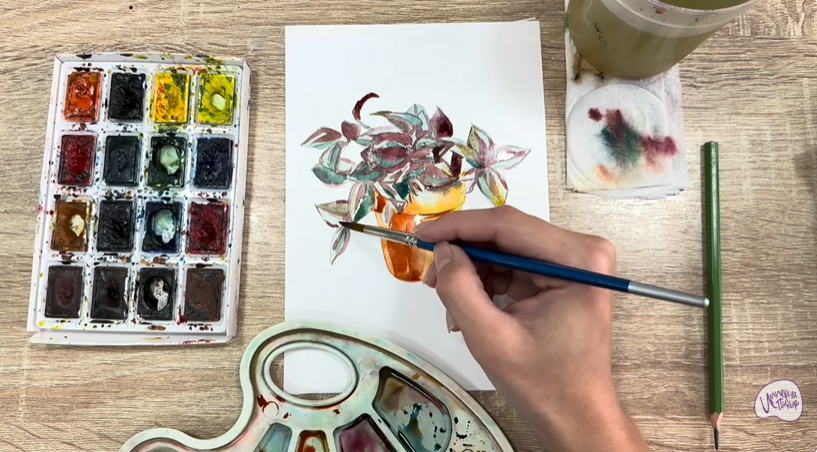 Рисуем Традесканция